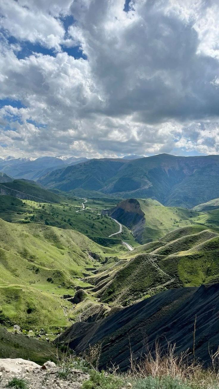 Tijeras Plus Fit Cut Curve Twiggy - Diseño Portátil Y Ergonómico, Color Noir