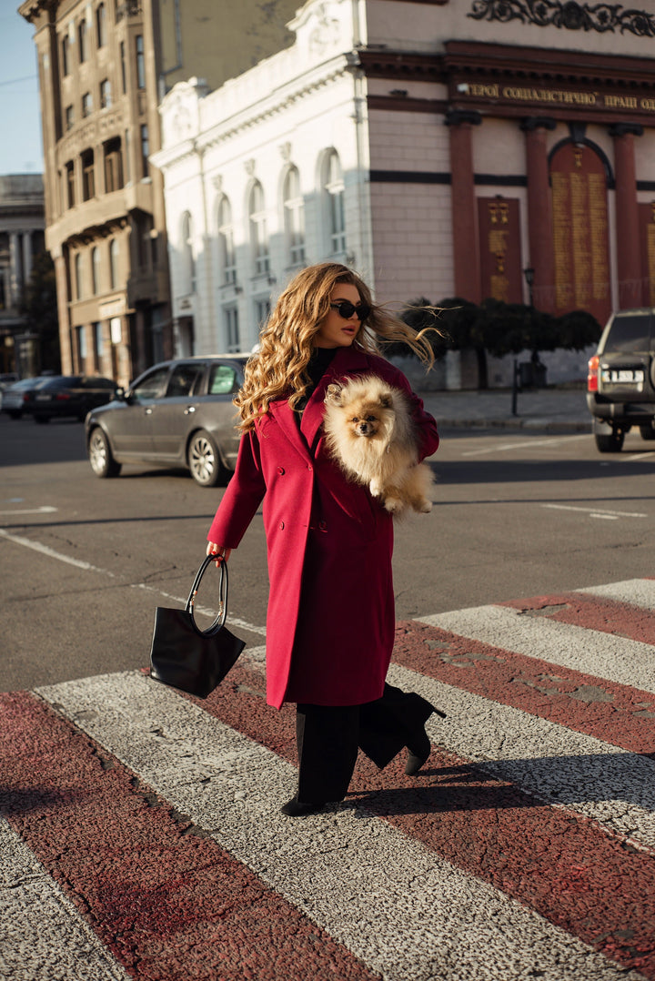 Plus Size Outerwear for Fall–Winter: Warmth, Confidence and Individual Style