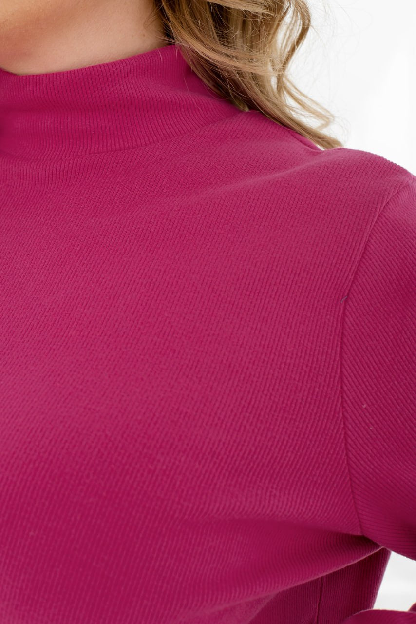 Knit sweater with high collar  - Twiggy Shop